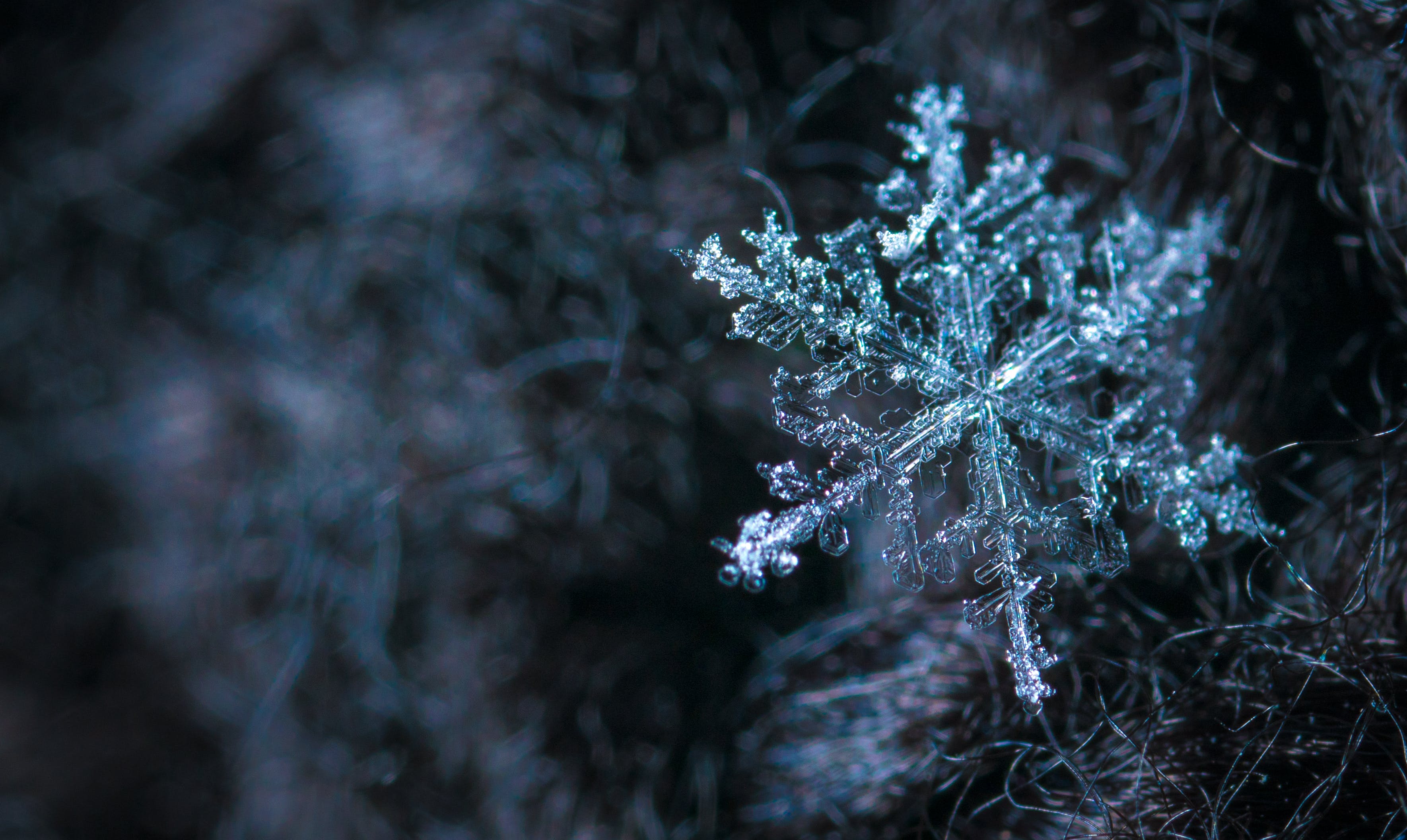 up-close picture of a snowflake